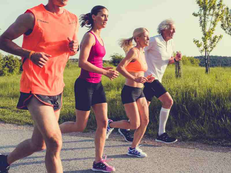 Fucoxanthin Dosage Ceiling: Balancing Fat Loss with Thyroid Safety