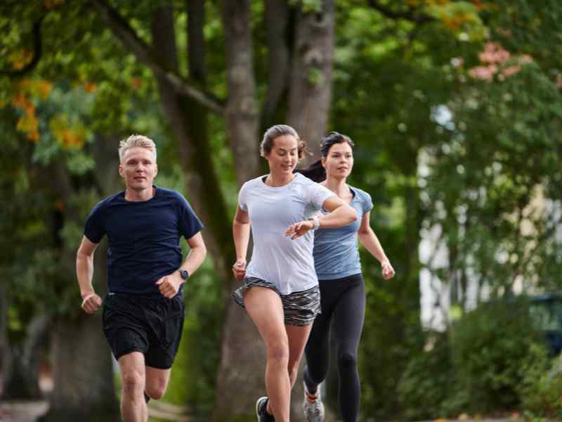 ACV Powder vs. EGCG: Cross-Comparing Satiety with Cellular Burn
