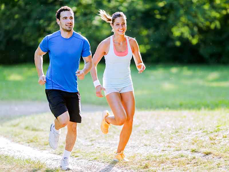LCLT vs. ALCAR: Selecting the Best Fatty Acid Shuttle for Exercise vs. Sedentary Dynamics