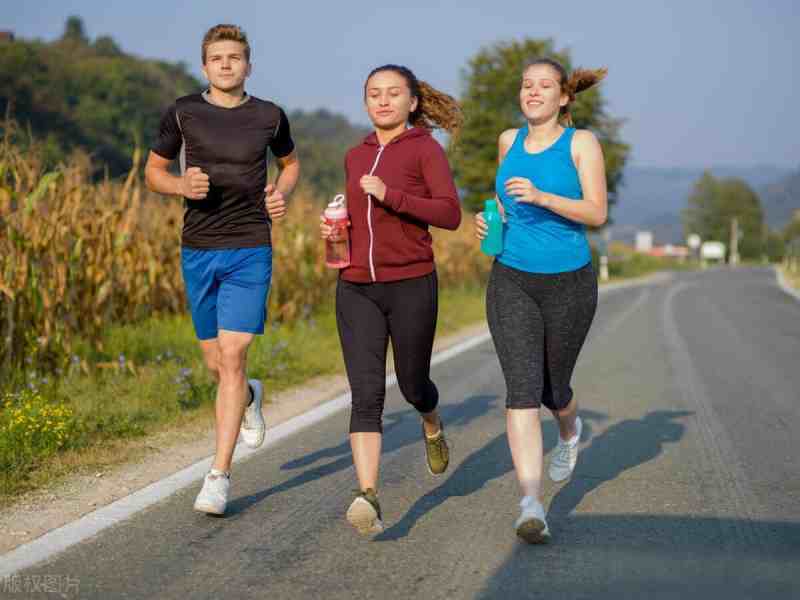 GI Load Assessment: White Kidney Bean vs. Dihydroberberine