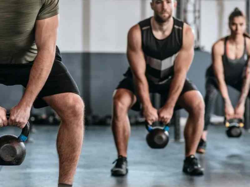 Gotu Kola vs. Horse Chestnut Extract