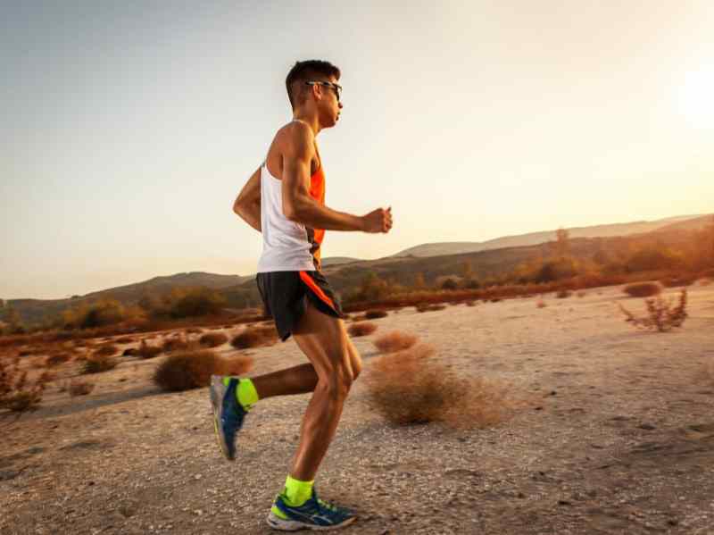 High-Dose Yohimbine Warning: Managing Anxiety & Heart Rate Surges