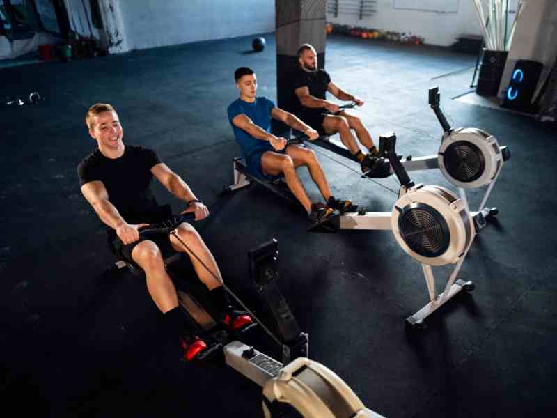 Ginsenosides in Pre-Workout: Science, Dosage, and Impact on Energy, Focus, Endurance No. 1picture Ginsenosides in Pre-Workout: Science, Dosage, and Impact on Energy, Focus, Endurance No. 1picture