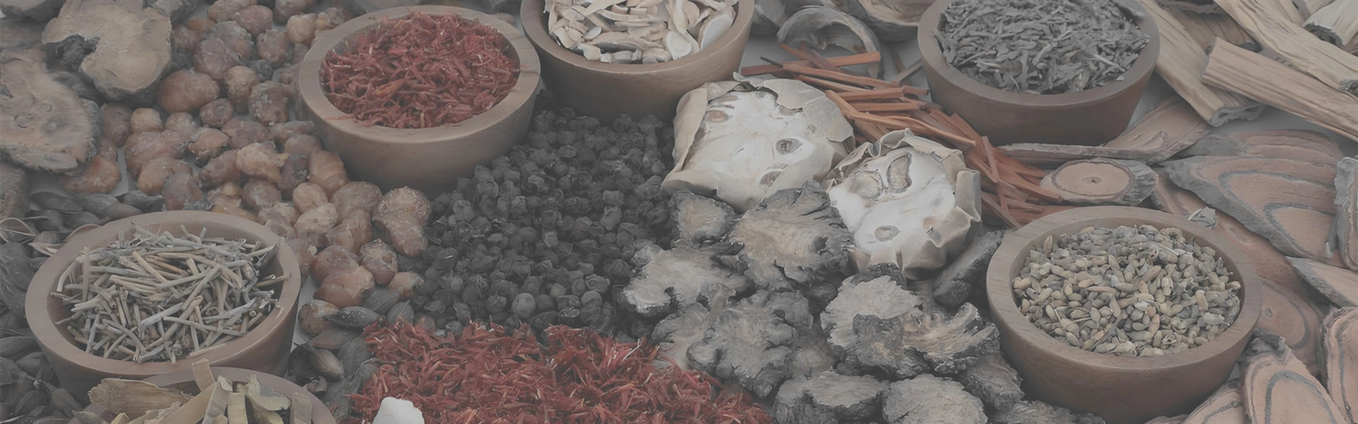 Plant Extract Supplements