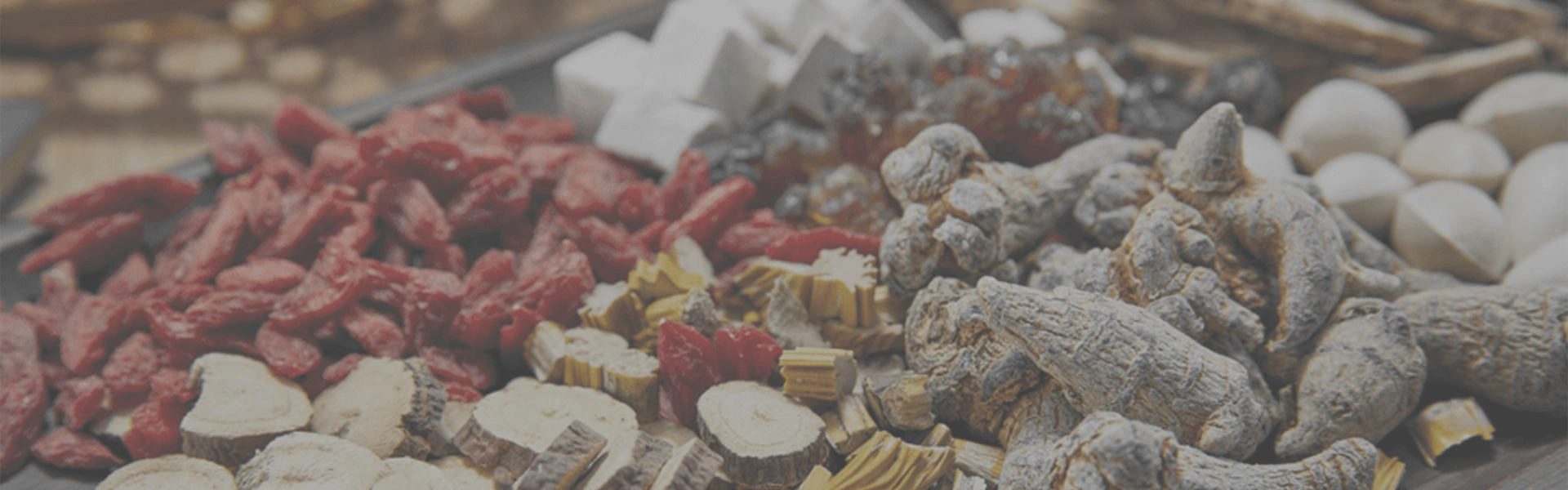 Supplement Manufacturing Solutions